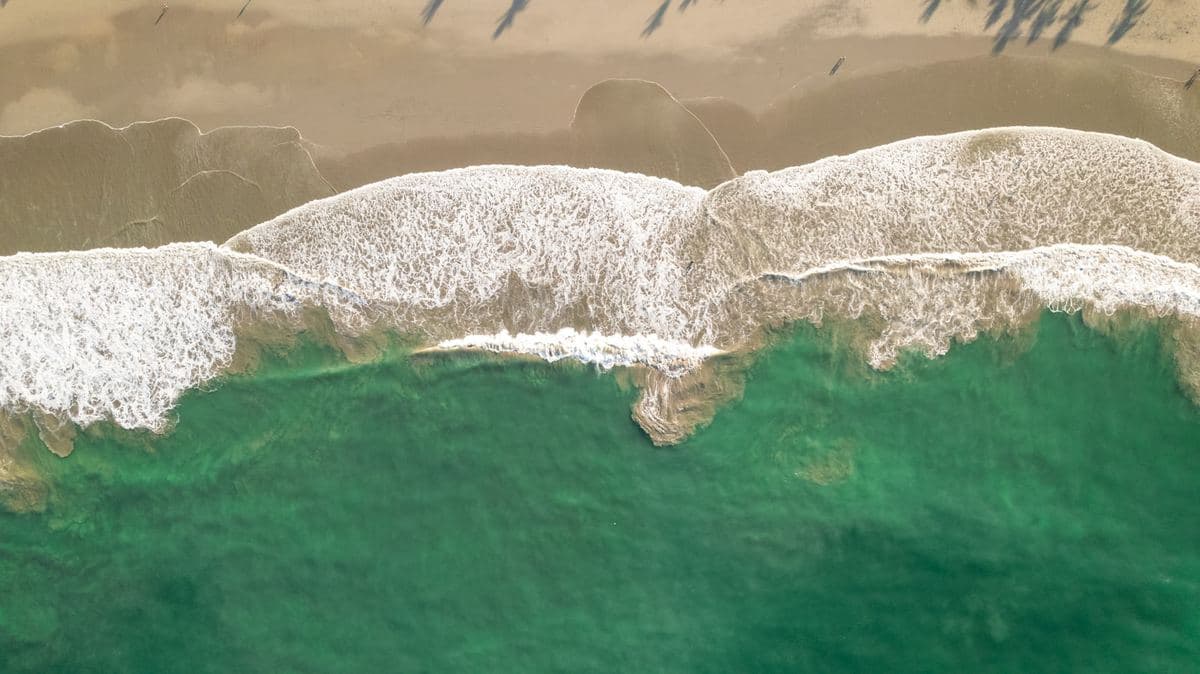 Aerial view of Costa Rica's Pacific coast with jungle meeting the ocean